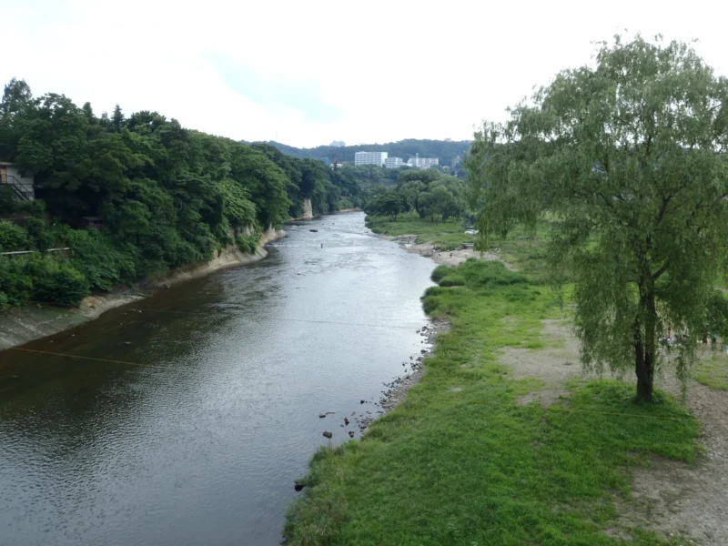 東北大学川内キャンパス周辺を流れる広瀬川