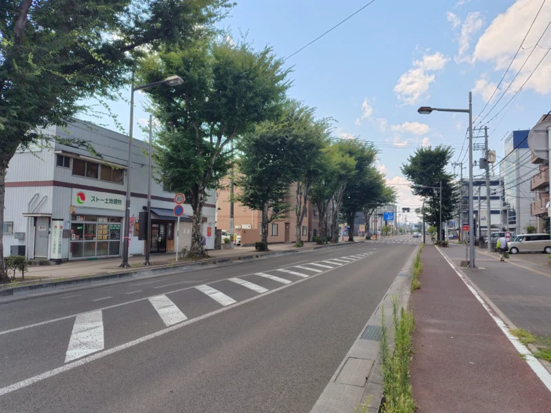 薬師堂駅前の道路と歩道、周辺の建物